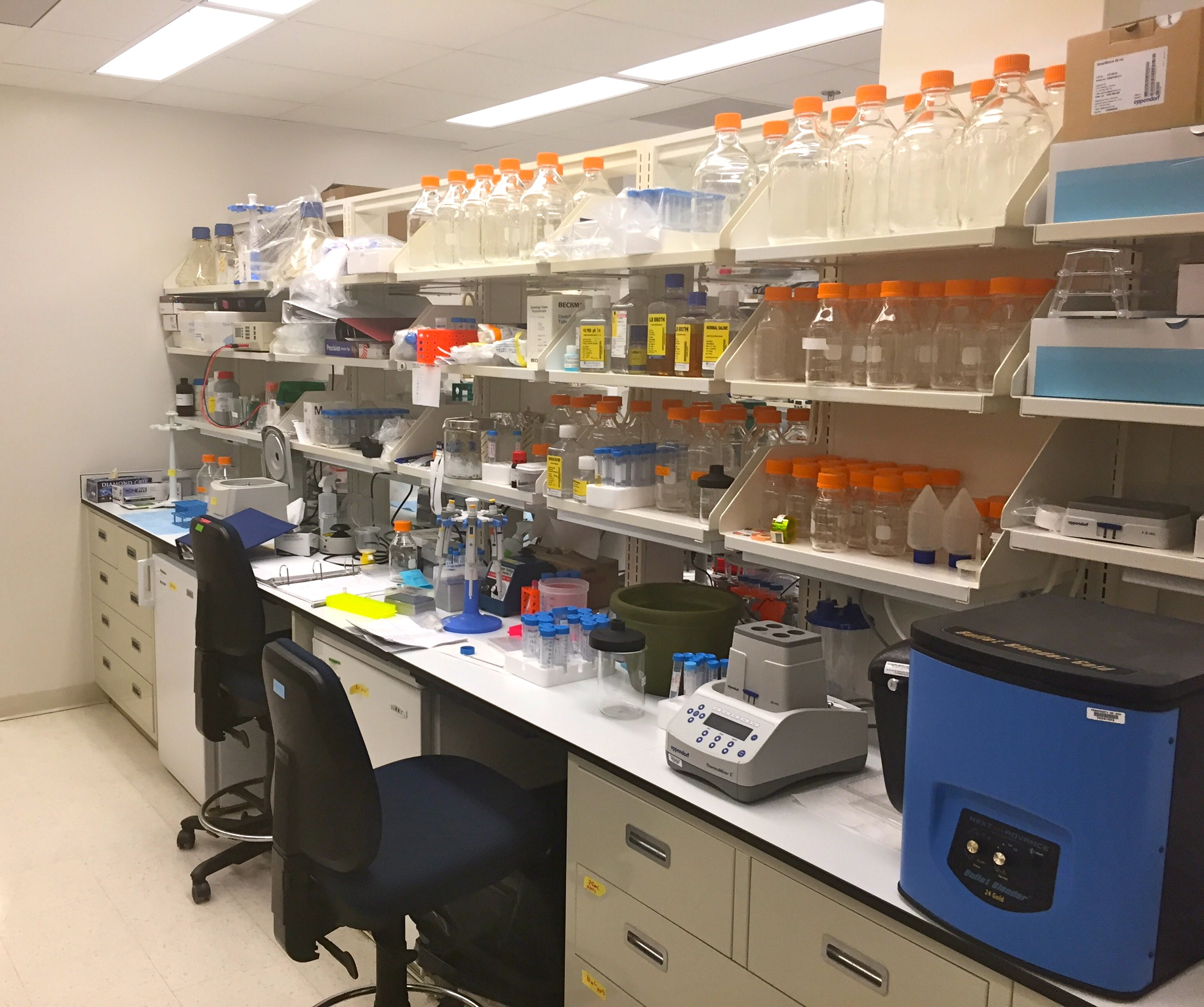Brain Tumor Research Highlights July 2016 Brain Tumor Research Highlights July 2016