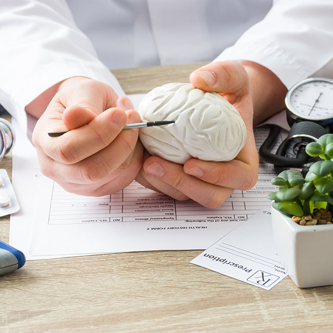 At doctors appointment physician shows to patient shape of brain with focus on hand with organ. Scene explaining patient causes and localization of diseases of brain, nerves and nervous system