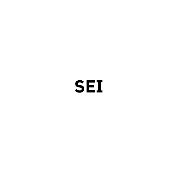 SEI (text only)