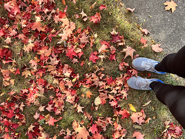 A runner looks down at her running shoes alongside vibrant orange leaves resting atop the green grass.