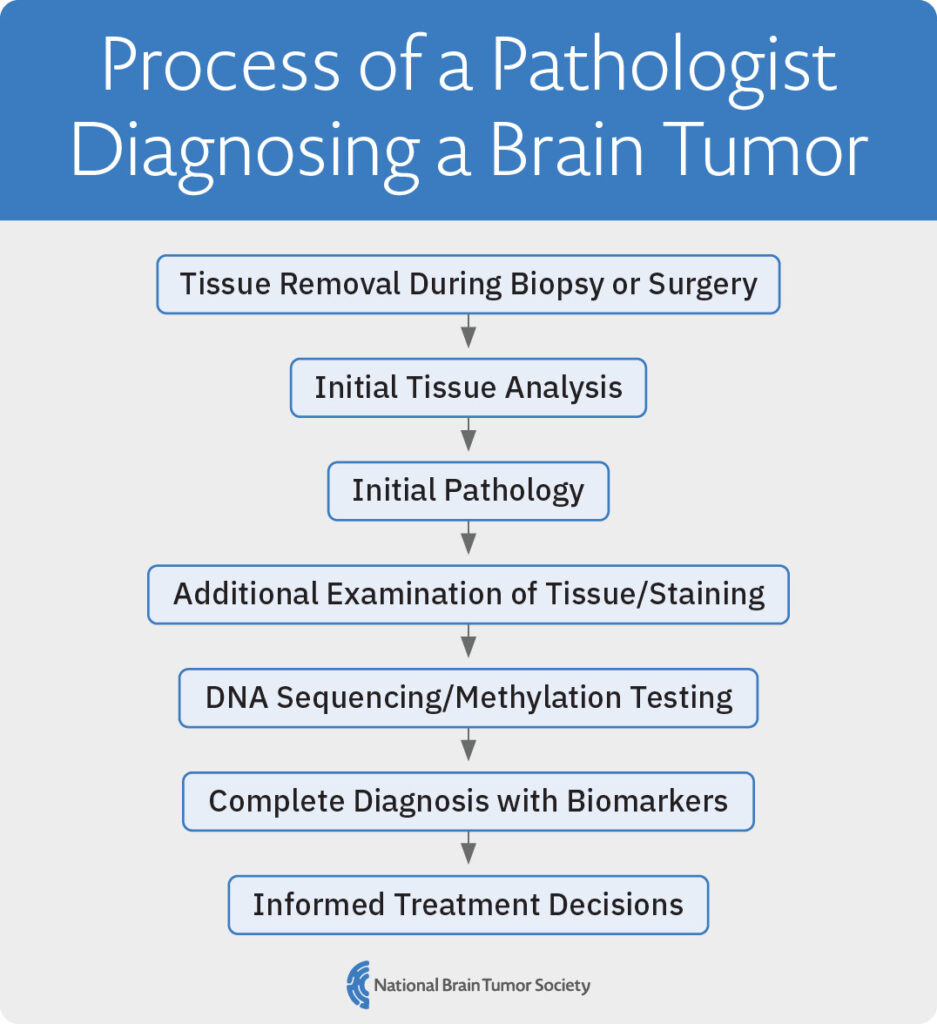 A flow chart that outlines the process of a pathologist diagnosis a brain tumor: Tissue Removal During Biopsy or Surgery --> Initial Tissue Analysis --> Initial Pathology --> Additional Examination of Tissue/Staining --> DNA Sequencing/Methylation Testing --> Complete Diagnosis with Biomarkers --> Informed Treatment Decisions